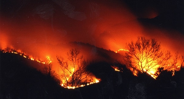 2000년 4월에도 강원도 고성군 동해안에 산불이 났다. (사진 출처 = ko.wikipedia.org)