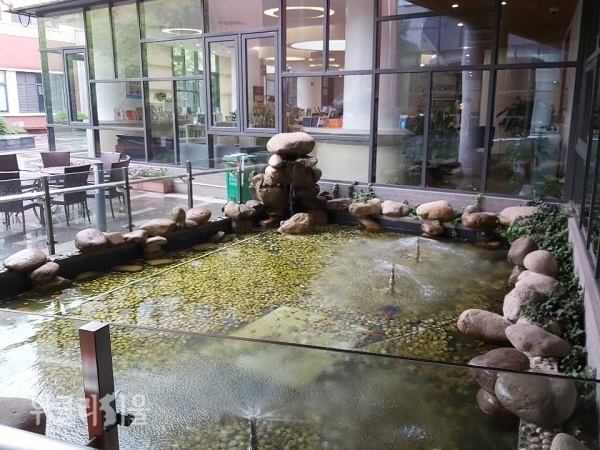 사진 4) 학교 안의 작은 연못과 도서관 정경