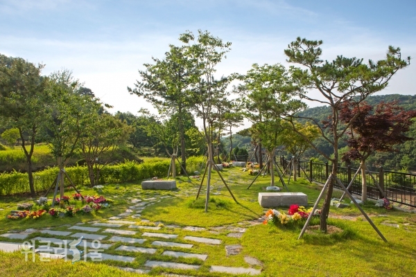 용인공원의 수목장 ‘세수연’ 전경 ⓒ위클리서울 /용인공원