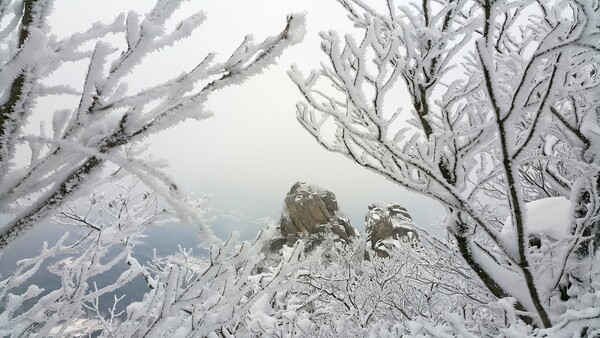 설산(雪山)